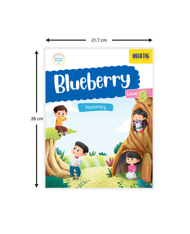 Blueberry Level-B Numeracy