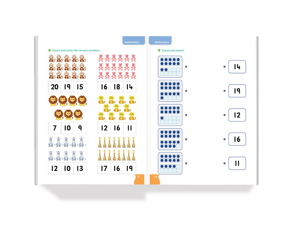 Blueberry Level-B Workbook